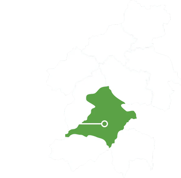 Where Saijo is
