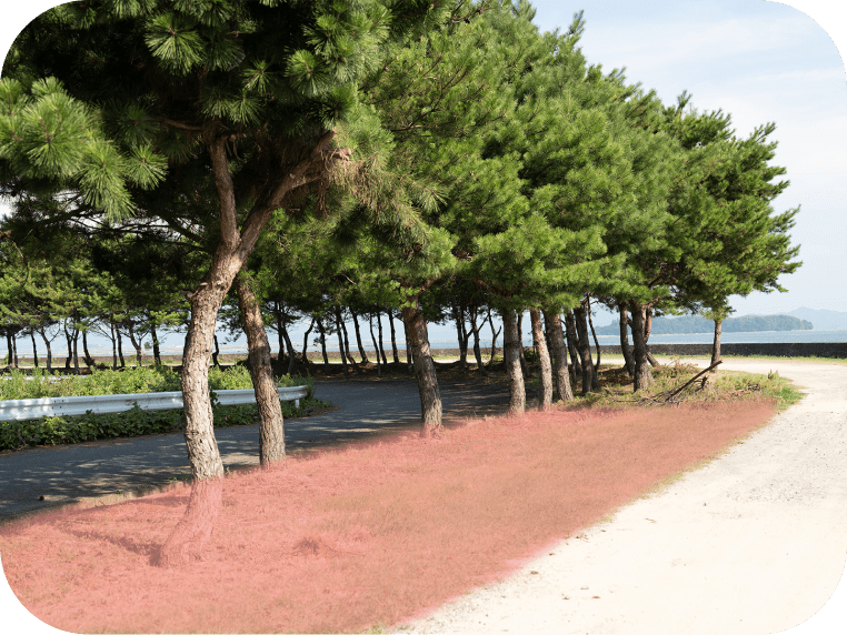 龍王島行き渡船乗り場駐車場（芝生箇所）